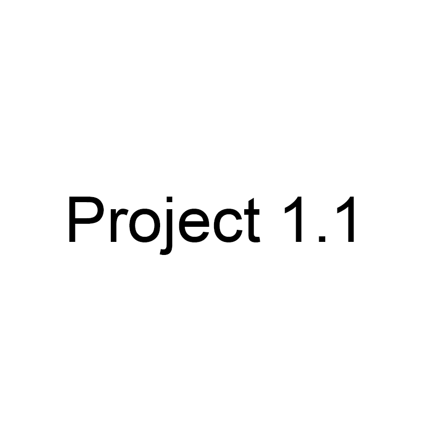 Project 1.1